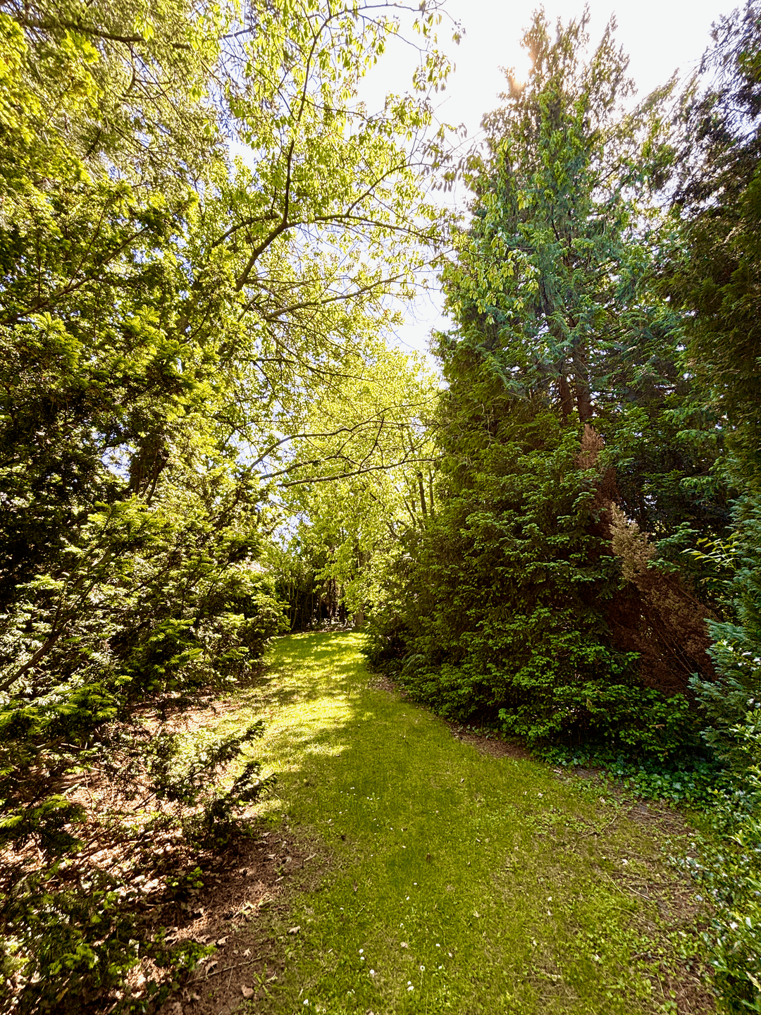 hinterer Garten